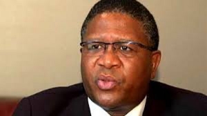 Fikile Mbalula Minister